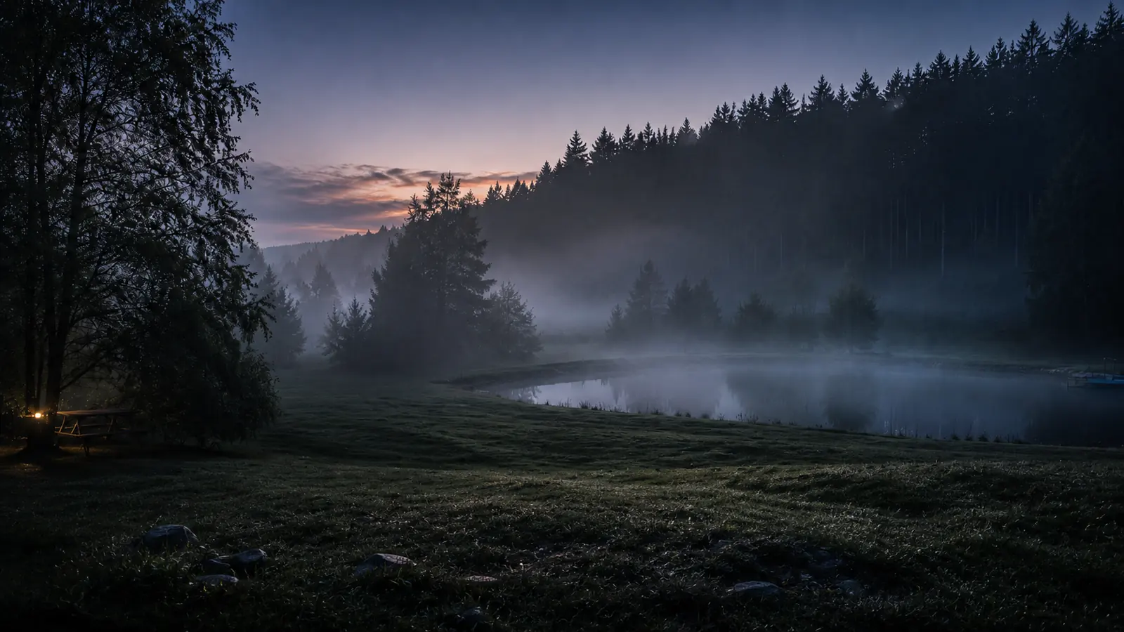 Teich und Wald im Nebel